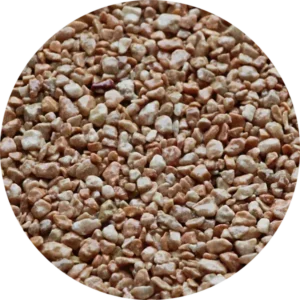 Coloris Été