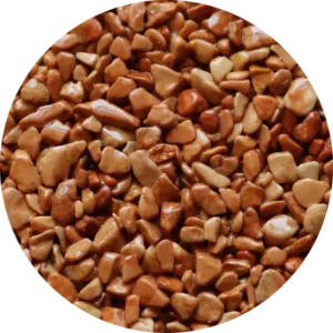 Coloris Melocoton